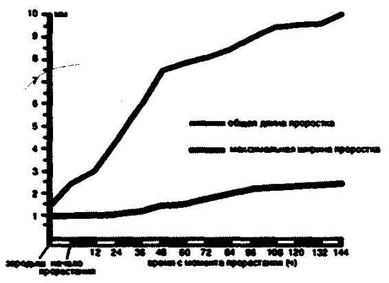 Культура кактусов - _331.jpg