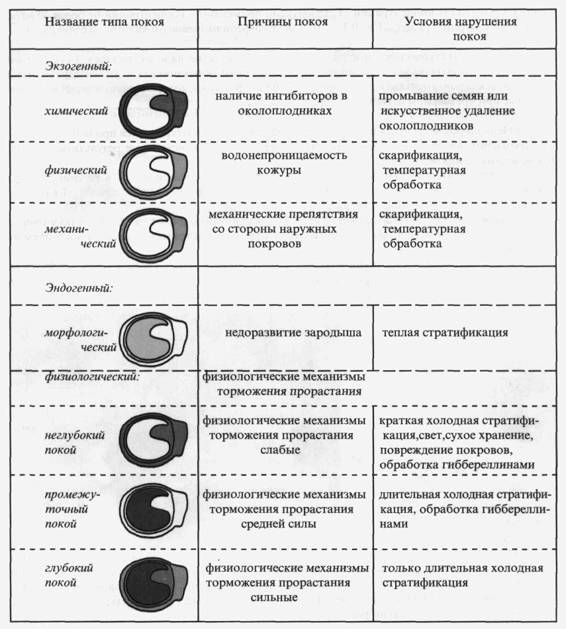 Культура кактусов - _341.jpg