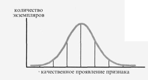 Культура кактусов - _358.jpg