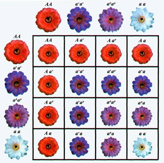 Культура кактусов - _363.jpg