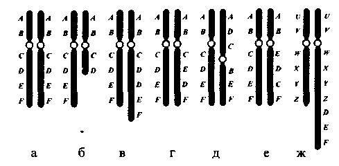 Культура кактусов - _374.jpg