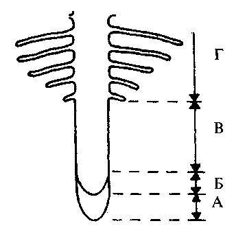 Культура кактусов - _6.jpg