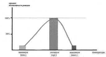 Культура кактусов - _70.jpg