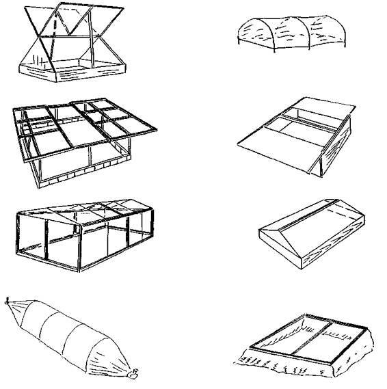 Культура кактусов - _72.jpg