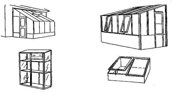 Культура кактусов - _74.jpg