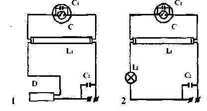 Культура кактусов - _96.jpg
