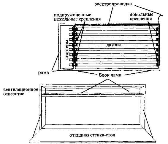 Культура кактусов - _98.jpg
