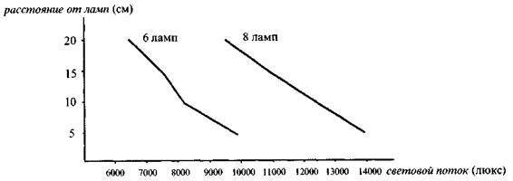 Культура кактусов - _99.jpg