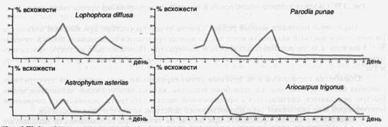 Культура кактусов - _343.jpg