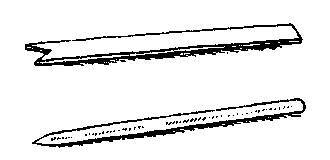 Культура кактусов - _346.jpg