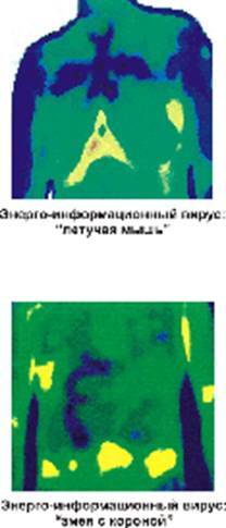 Смерть предупредить и обезвредить! Эксклюзив из Индии - _6.jpg