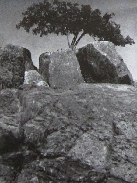 В Швеции - i_005.jpg