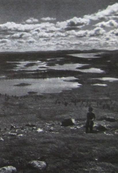 В Швеции - i_029.jpg