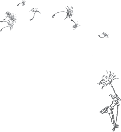 Тайны Зелёного королевства - i_001.png