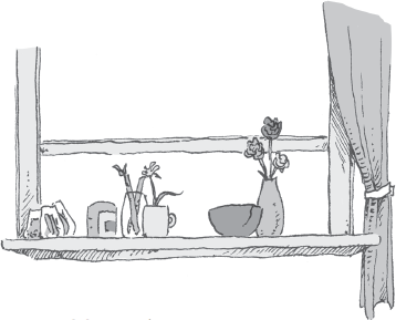 Тайны Зелёного королевства - i_002.png