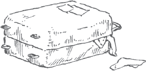 Тайны Зелёного королевства - i_003.png