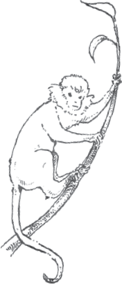 Тайны Зелёного королевства - i_012.png