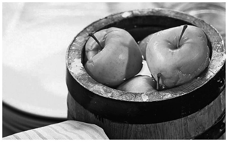 Книга о русской здоровой пище. Рецепты от Максима Сырникова - i_006.jpg