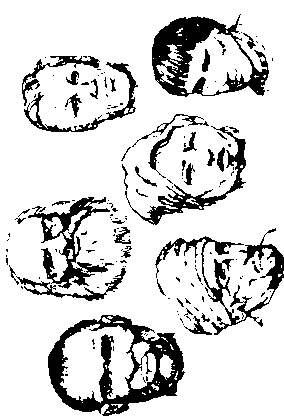 Кен Хэм Эндрю Снеллинг Карл Вилэнд КНИГА ОТВЕТОВ Ответы на 12 наиболее часто задаваемых вопросов о книге бытия, творении и эволюции - i_44.png