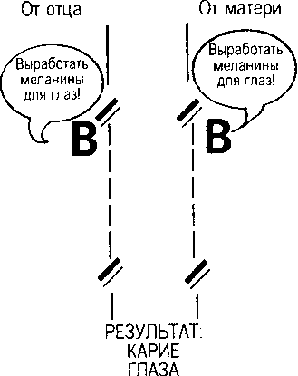 Кен Хэм Эндрю Снеллинг Карл Вилэнд КНИГА ОТВЕТОВ Ответы на 12 наиболее часто задаваемых вопросов о книге бытия, творении и эволюции - i_47_2.png