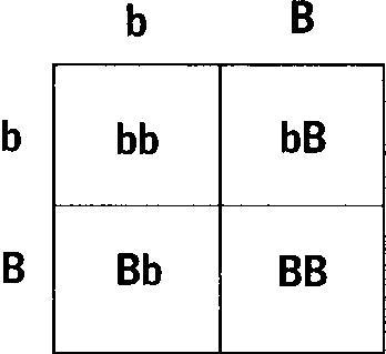 Кен Хэм Эндрю Снеллинг Карл Вилэнд КНИГА ОТВЕТОВ Ответы на 12 наиболее часто задаваемых вопросов о книге бытия, творении и эволюции - i_49.png