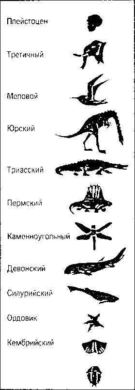 Кен Хэм Эндрю Снеллинг Карл Вилэнд КНИГА ОТВЕТОВ Ответы на 12 наиболее часто задаваемых вопросов о книге бытия, творении и эволюции - i_55.png