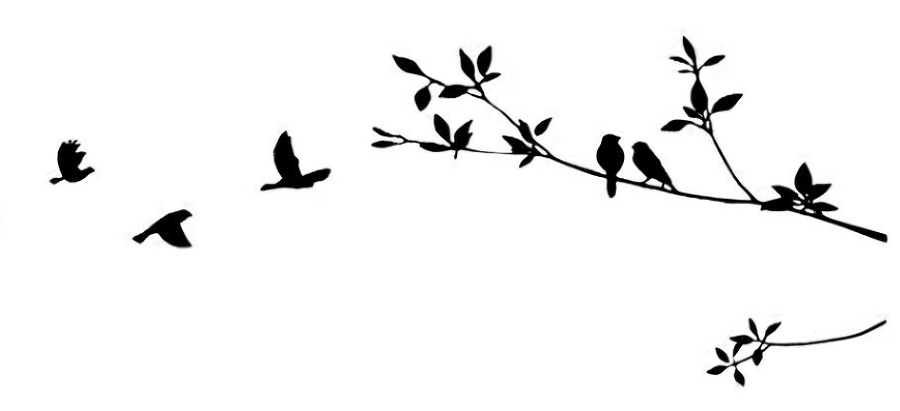 Ведьма - _0.jpg