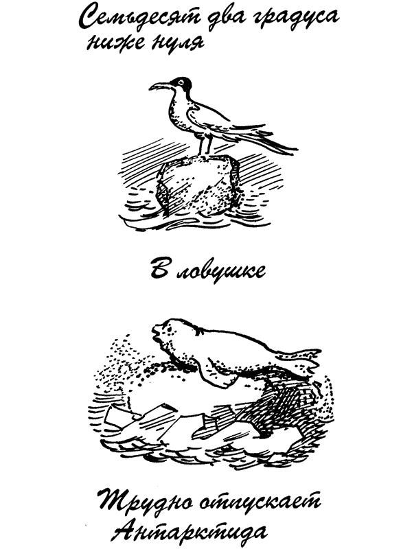 Семьдесят два градуса ниже нуля. В ловушке. Трудно отпускает Антарктида - i_002.png