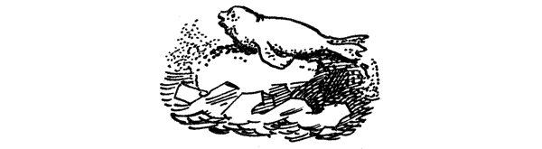 Семьдесят два градуса ниже нуля. В ловушке. Трудно отпускает Антарктида - i_027.png