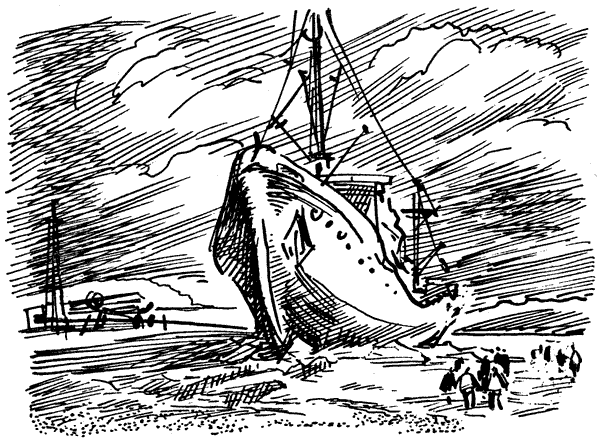 Семьдесят два градуса ниже нуля. В ловушке. Трудно отпускает Антарктида - i_029.png
