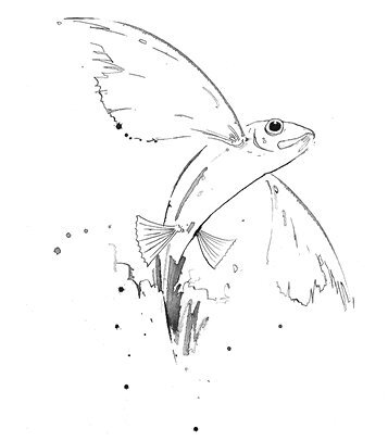 Парили рыбы в вышине - i_011.jpg