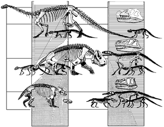 История земли и жизни на ней - img41.png