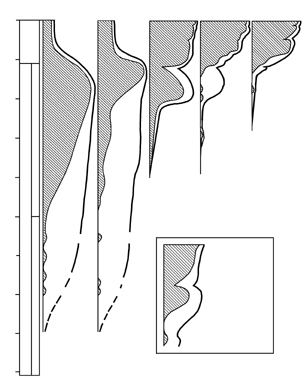 История земли и жизни на ней - img19.png