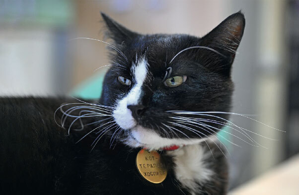 Настоящее время - i_001.jpg