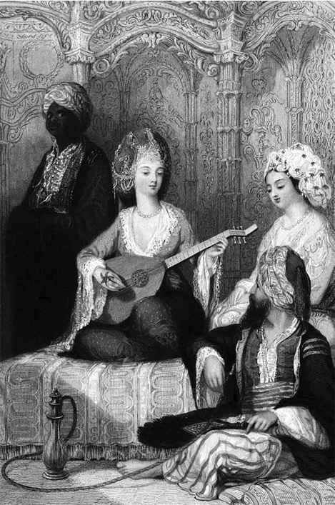 История гарема - i_004.jpg