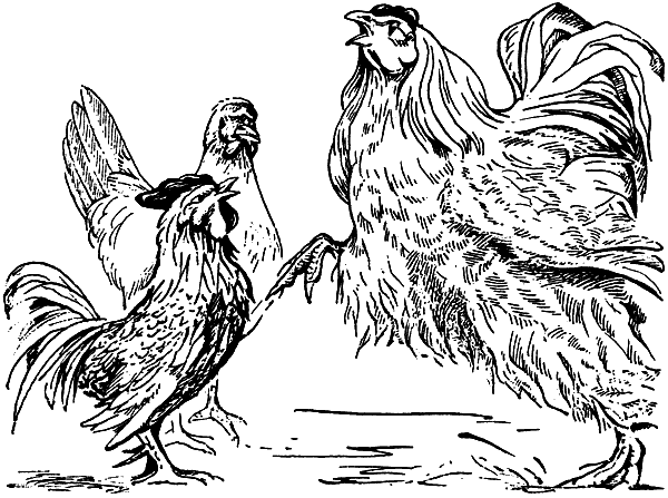 История барсучихи. Мой тайный мир - i_008.png