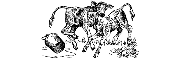 История барсучихи. Мой тайный мир - i_010.png