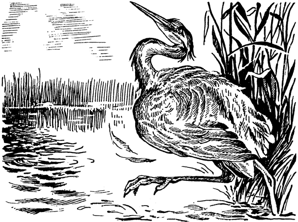 История барсучихи. Мой тайный мир - i_014.png