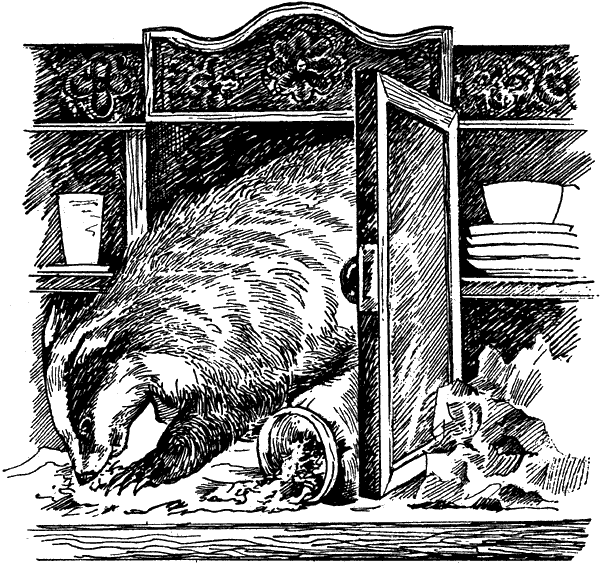 История барсучихи. Мой тайный мир - i_020.png