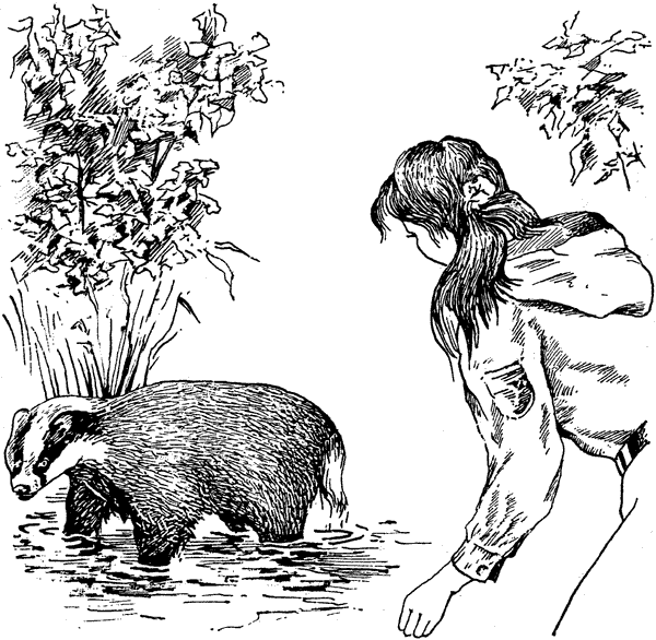 История барсучихи. Мой тайный мир - i_022.png