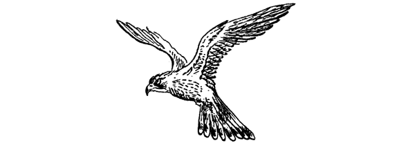 История барсучихи. Мой тайный мир - i_023.png