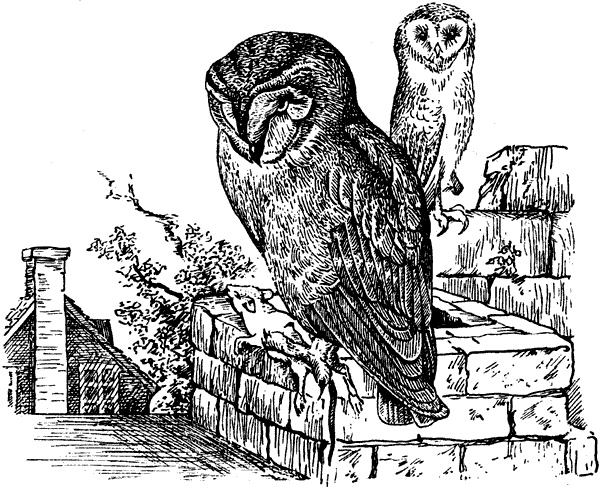 История барсучихи. Мой тайный мир - i_024.png