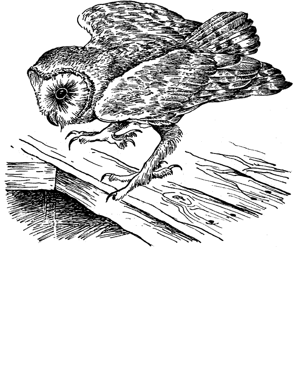 История барсучихи. Мой тайный мир - i_027.png