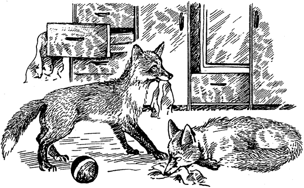 История барсучихи. Мой тайный мир - i_030.png