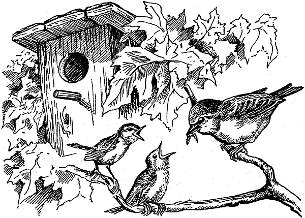 История барсучихи. Мой тайный мир - i_046.png