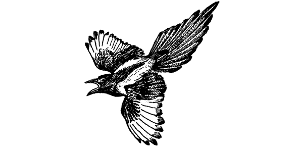 История барсучихи. Мой тайный мир - i_048.png