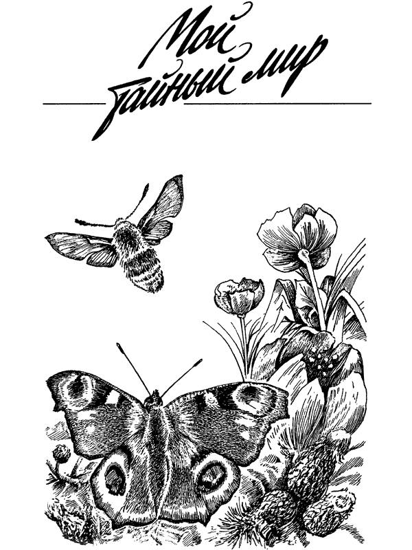 История барсучихи. Мой тайный мир - i_049.png