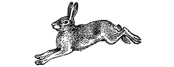 История барсучихи. Мой тайный мир - i_053.png