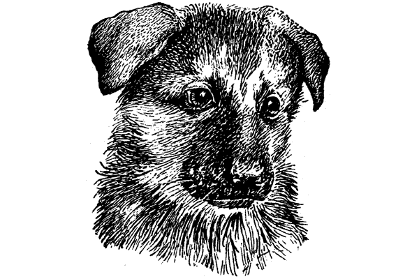 История барсучихи. Мой тайный мир - i_063.png