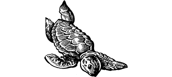 История барсучихи. Мой тайный мир - i_070.png